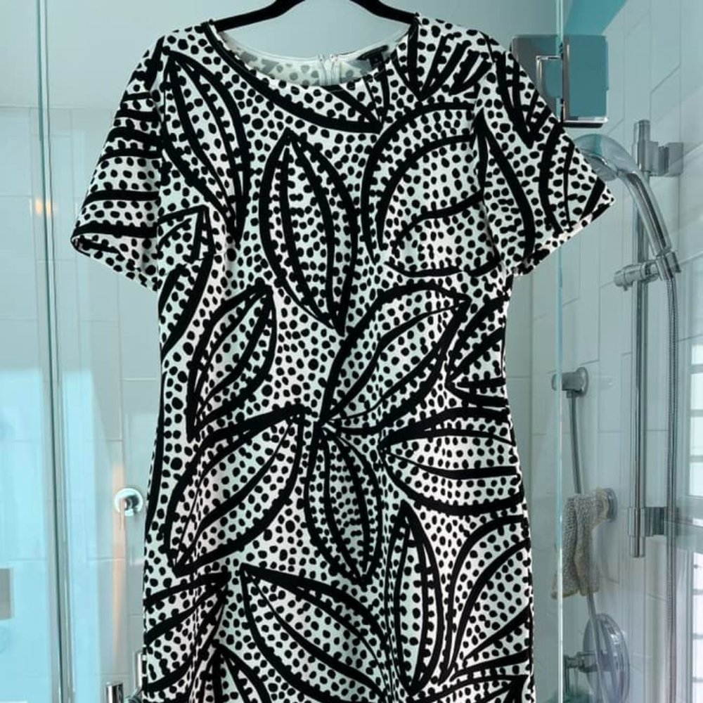 Ann Taylor Dress